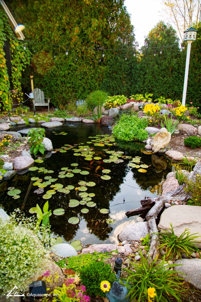 backyard masterpiece with a koi pond