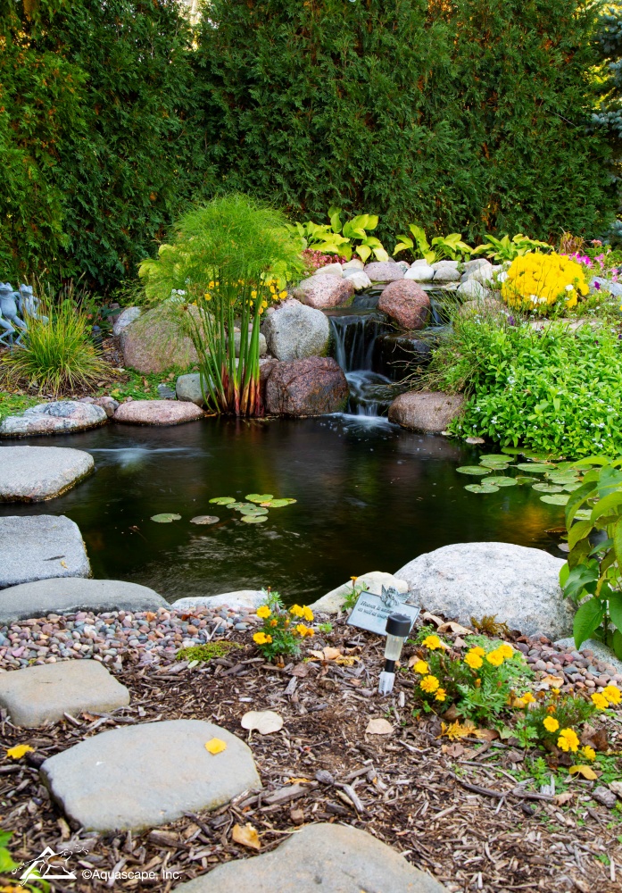See How a Koi Pond Creates the Ultimate Backyard Masterpiece
