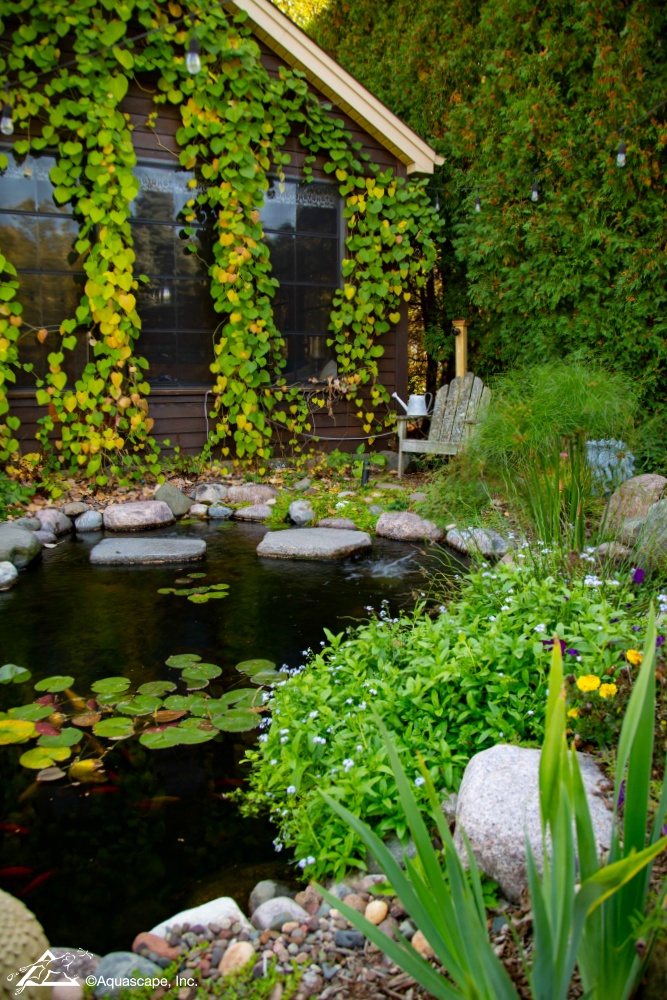 Backyard koi pond by Aquascape