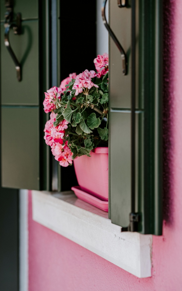 Pink flower box at a vintage home