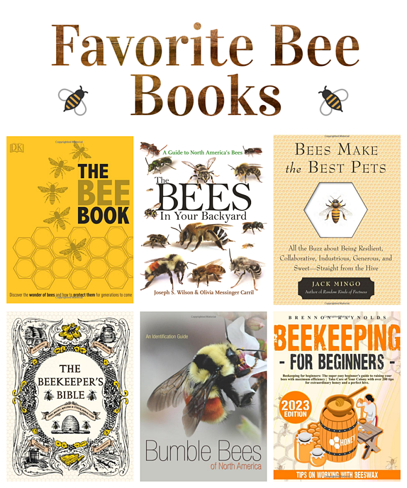Favorite bee books on Amazon