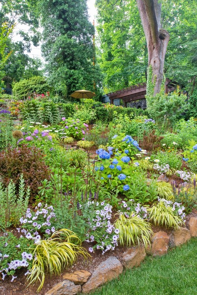 sloped garden with hydrangeas and daisies