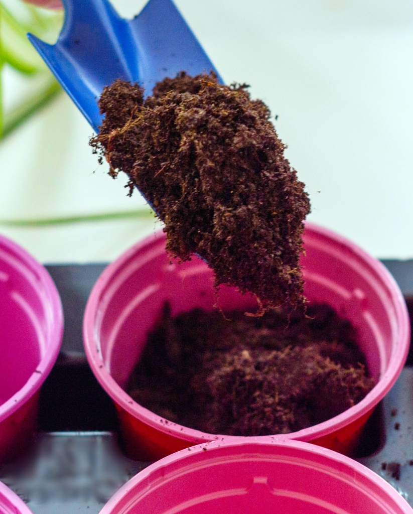 potting soil for herbs