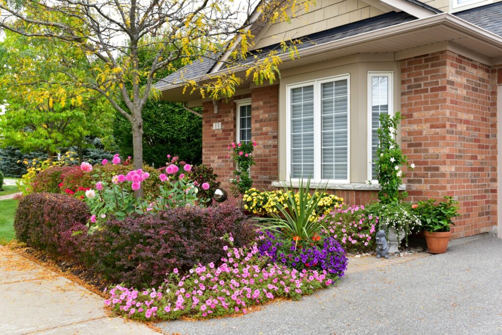 Colorful garden in urban neighborhood